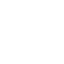 Automotive Electronics